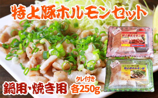 特上豚ホルモン 鍋用・塩焼き用セット【さくら亭】/ ホルモン鍋 塩焼き 豚肉 ホルモン岩手県雫石町15000肉豚肉