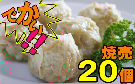 Βn{ 암 Ĕ 20Zbg ^ V[}C y Ⓚ yˉXz茧Β12000ZbgE؁EHHi