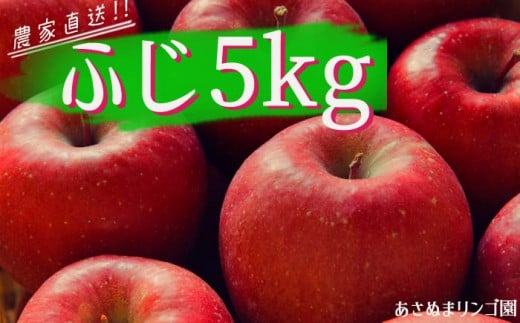雫石町産 リンゴ (ふじ)5kg【数量限定】/農家直送 【あさぬまリンゴ園】岩手県雫石町15000果物・フルーツりんご・梨