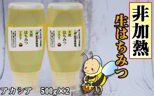 簗場養蜂場 非加熱 生はちみつ アカシア 500g 2本 / はちみつ 蜂蜜 ハチミツ 国産 【あねっこ】岩手県雫石町21000鍋セット・総菜・加工食品ジャム・はちみつ