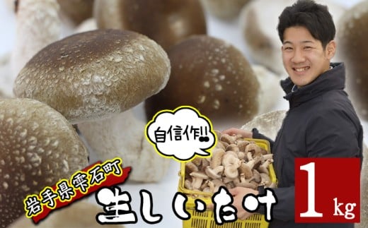 Y 茧Y   1kg y炾t@[z ő  VC^P ̂  LmR  ₳ P 1L PL o`  _V |  Ȃ ϕ ύ  Ă