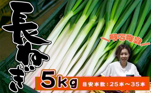岩手県産 極楽野 長ねぎ 5kg 目安本数 25本 〜 35本 【高橋農園】/ 長ネギ 長葱 ねぎ ネギ 葱 白ねぎ 白ネギ 白葱 新鮮 野菜 やさい 人気野菜 国産 EM栽培 産地直送 農家直送 季節限定 期間限定