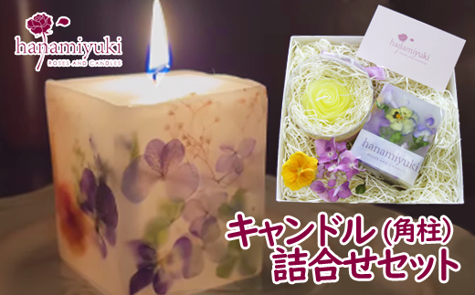 LhQlZbgsptiƐԎgpjyhanamiyukiz / t[Lh 낤 Mtg v[g茧Β22000ߗށEiEH|ȋ iEH|i