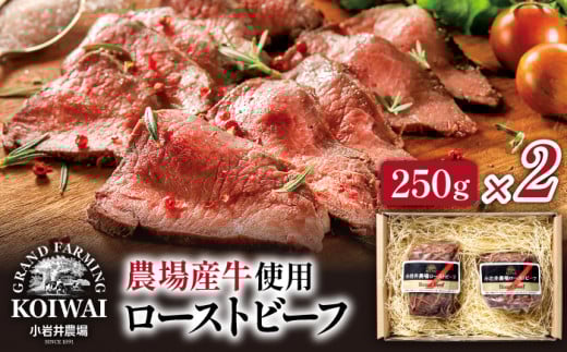 _ [Xgr[t 250g 2 Zbg ^ Y   lC y  my m mH     ܂ Mtg v`Mtg p 蕨 v[g 