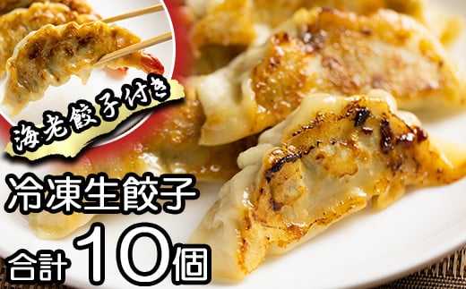 冷凍生餃子 【肉餃子5個+えび餃子5個】 / 餃子 ぎょうざ ギョウザ ギョーザ 中華惣菜 【みたけ飯店の餃子】岩手県雫石町14000鍋セット・総菜・加工食品総菜