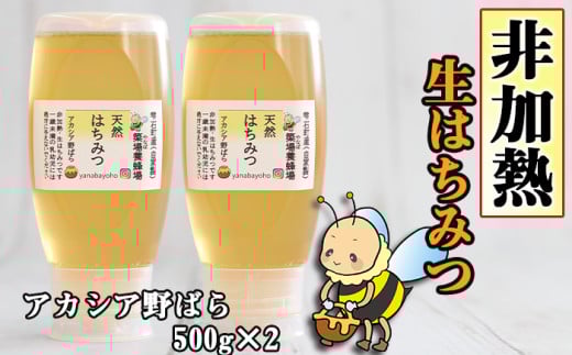 簗場養蜂場 非加熱 生 はちみつ アカシア 野ばら 500g 2本 【あねっこ】/ 純粋 蜂蜜 ハチミツ ハニー 500g 2本 1kg 1kg 国産 国内産 日本産 使いやすい ボトル 長期保存 産地直送 アカ