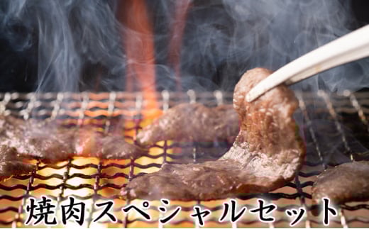 【一度にお届け!】石見和牛でちょっと贅沢!焼肉スペシャルセット(合計約1.3kg)【焼肉用 スライス ミックス 300g 肩ロース 450g ロース 550g 合計約1.3kg 3〜4人前程度 牛肉 石見和牛 焼き肉