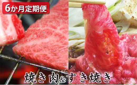 【定期便6ヶ月】石見和牛でちょっと贅沢!焼肉・すき焼き定期便(合計約2.6kg)【定期便 6回 和牛 黒毛和牛 ミックス 肩ロース ロース すき焼き用 焼肉用 スライス スライス肉 肉 牛肉 ブラ