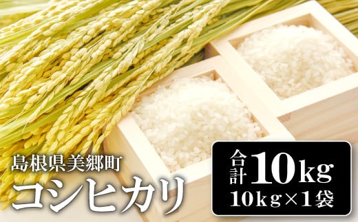 〈先行予約〉新米 令和6年産 美郷町産コシヒカリ 白米 10kg【お米 10kg 1袋 精米 ブランド米 米 こしひかり お米 先行予約 2024年産】島根県美郷町22000米・パン白米