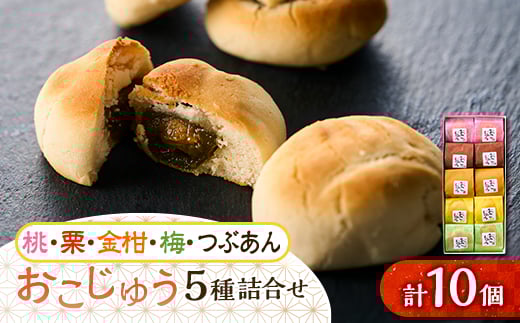 おこじゅう詰め合わせ(10個入)<お茶ぞっぺの中島屋(あきる野の匠)>【1509831】東京都あきる野市8000菓子・スイーツその他 和菓子