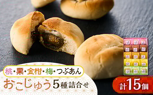 おこじゅう詰め合わせ(15個入)<お茶ぞっぺの中島屋(あきる野の匠)>【1509832】東京都あきる野市11000菓子・スイーツその他 和菓子