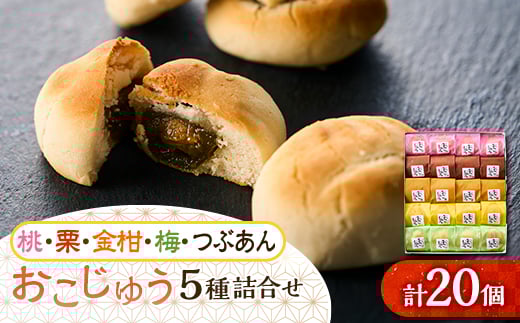 おこじゅう詰め合わせ(20個入)<お茶ぞっぺの中島屋(あきる野の匠)>【1509833】東京都あきる野市14000菓子・スイーツその他 和菓子