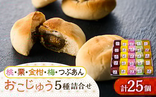 おこじゅう詰め合わせ(25個入)<お茶ぞっぺの中島屋(あきる野の匠)>【1509834】東京都あきる野市17000菓子・スイーツその他 和菓子