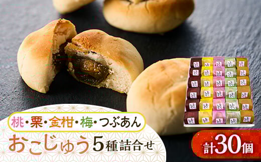 おこじゅう詰め合わせ(30個入)<お茶ぞっぺの中島屋(あきる野の匠)>【1509835】東京都あきる野市21000菓子・スイーツその他 和菓子