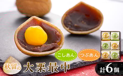 H̑IŒ(6)؂̒(̏)y1508104zss5000َqEXC[c̑ aَq