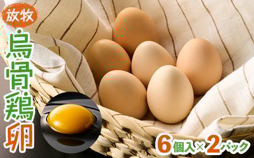 qG{@6×2pbNg][t@[y1555485zss8000Eii{AG{j