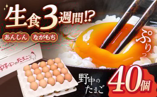 Y݂ĐVN 쒆̂܂  40y쒆{z[OAC001] / ܂  Z ܂ Z  ^}S { ܂  ܂ Ă ܂ VN   ܂茧I13000