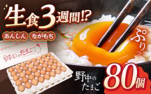 Y݂ĐVN 쒆̂܂  80y쒆{z[OAC002] /   Z ܂  Z  ^}S { ܂ Ic  Ă ܂  VN   ܂茧I