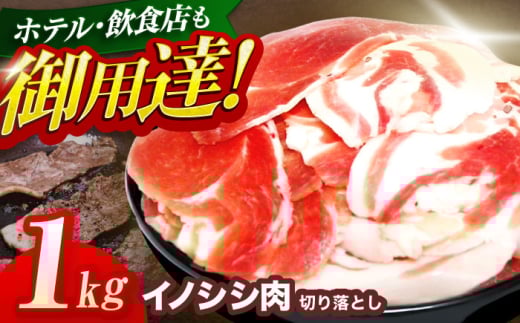 WrG VR̂ ؂藎Ƃ1kgiڂEύEuߗpjyƖ{HHz[OAJ001] /   ̂ CmVV CmVV WrG ̂ 茧 IY 
