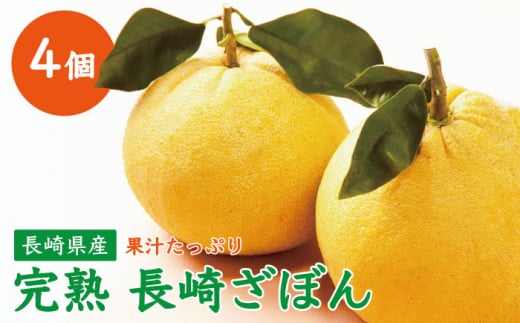 yʌz肴ڂ 4yԂ񂽂̉z[OAF003] / k ڂ n ~J k ʕ t[c R k U{ ڂ k 񂫂 ݂ ڂ񂽂񒷍茧I13000ʕEt