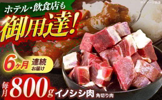 y6ցzWrG VRCmVV p؂ 800giJ[EV`[jyƖ{HHz[OAJ062] /   ̂ CmVV CmVV WrG ̂ 茧 IY ڂ