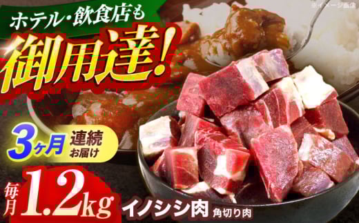 y3ցzWrG VRCmVV p؂ 1.2kgiJ[EV`[jyƖ{HHz[OAJ064] /   ̂ CmVV CmVV WrG ̂ 茧 IY ڂ