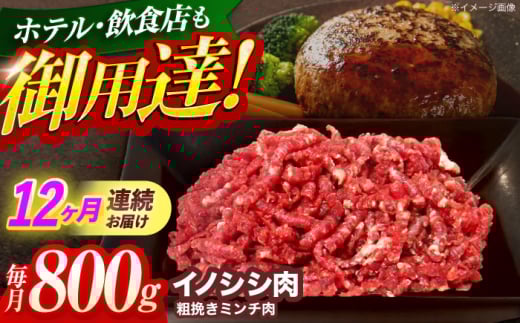 y12ցzWrG VRCmVV e҂~` 800gyƖ{HHz[OAJ069] /   ̂ CmVV CmVV WrG ̂ 茧 IY ڂp̂ 