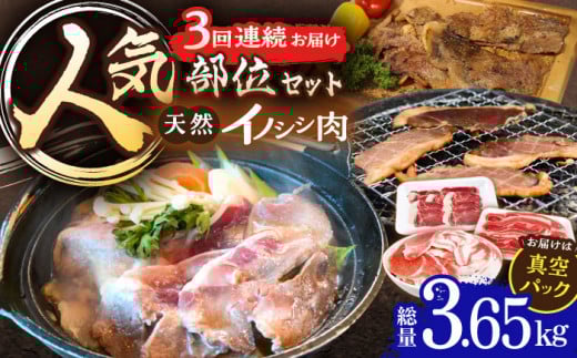 y3ցzWrG VRCmVV lC 3.65kgyƖ{HHz[OAJ076] /   ̂ CmVV CmVV WrG ̂ 茧 IY ڂp̂ 