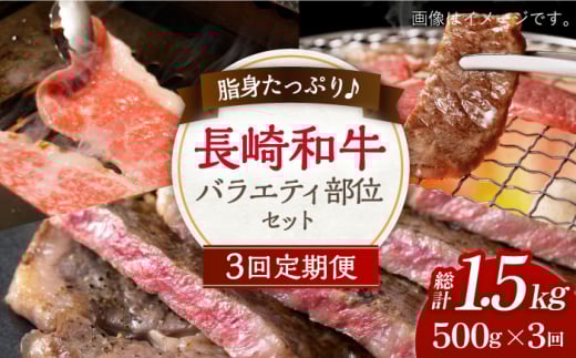 y3ցzgՂ a oGeB  Zbg 500g×3y쉺Xz[OAA022] / Y јa a [낢 T[CXe[L Xe[L u[X [X