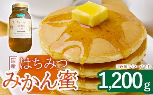 ݂͂ ݂ 1.2kg/ I Y r  茧 IYyX{Iz[OCY004] / ݂͂ I Y 茧 ݂͂ IY݂͂ SԖ ݂͂ XC[c Ö n`~c nj