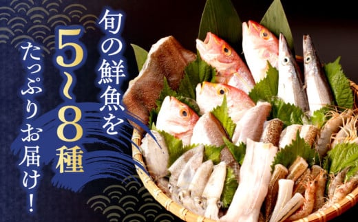 【11月発送分】下処理済!冷蔵配送!長崎県産旬の 鮮魚 贅沢 詰合せ (5種〜8種) ※7〜11月配送 / 冷蔵配送 詰合わせ 新鮮 朝獲れ魚介 産地直送海鮮 魚詰合わせ 数量限定魚介 海老 えび 新鮮海