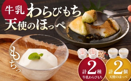 iтj2 & Vĝق 2 y Jz [OBC020]茧I8000َqEXC[c̑ aَq