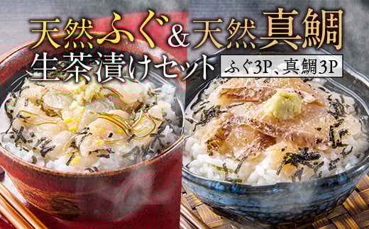 天然ふぐ&天然真鯛 生茶漬けセット(ふぐ3P、真鯛3P) AE004福岡県粕屋町13000魚介・海産物鮮魚