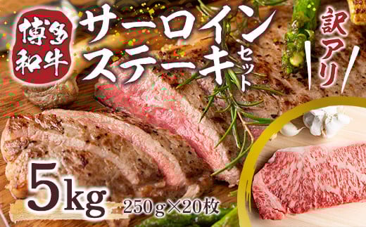 訳アリ!【A4〜A5】博多和牛サーロインステーキ 5kg(250g2枚入り×10パック) AO028福岡県粕屋町150000肉牛肉