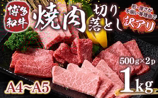 󂠂!yA4`A5zaē؂藎Ƃ([XEo)@1kg(500g×2p)@AO04022000