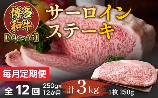yցzyA4`A5zaT[CXe[L@250g[250g×1]S12@AO060128000