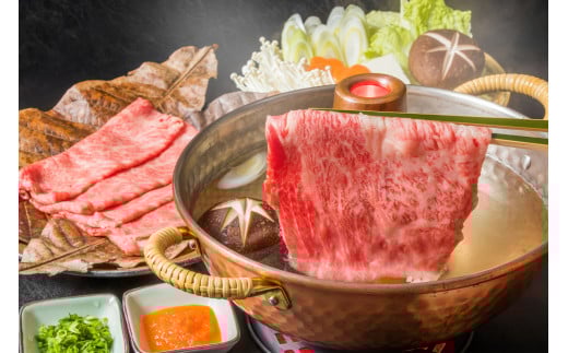 【毎月定期便】【A4〜A5】博多和牛しゃぶしゃぶすき焼き用 500g 全6回 AO068福岡県粕屋町75000肉牛肉