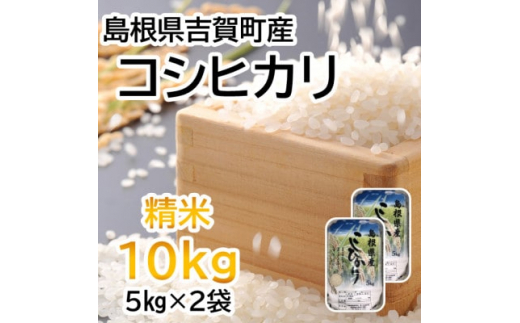 <令和7年10月中旬より順次発送>令和7年産コシヒカリ精米10kg(5kg×2袋 吉賀町産)【1259645】島根県吉賀町33000米・パン白米