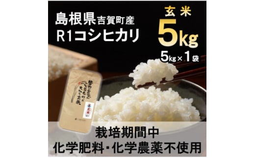<栽培期間中化学肥料・化学農薬不使用>令和7年産R1米コシヒカリ5kg(玄米)【1448680】島根県吉賀町19000米・パン玄米・雑穀米・もち米・餅