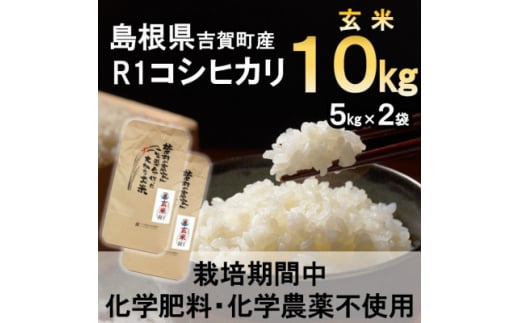 <栽培期間中化学肥料・化学農薬不使用>令和7年産R1米コシヒカリ10kg(玄米)【1448684】島根県吉賀町37000米・パン玄米・雑穀米・もち米・餅