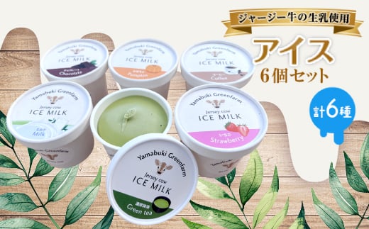 ジャージー牛の生乳を使用したアイス6個セット(ミルク・チョコ・コーヒー・いちご・抹茶・かぼちゃ)【1576638】島根県吉賀町10000菓子・スイーツアイス・ジェラート
