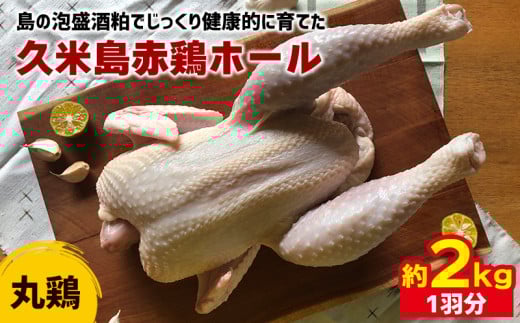 島の泡盛酒粕でじっくり健康的に育てた 久米島赤鶏ホール(丸鶏) 2kg(1羽分) 鶏肉 チキン 安心安全 ぷりっぷり ジューシー 肉汁 弾力 肉質 フランス原産 レッドブロ― ローストチキン サムゲ