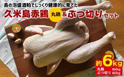 島の泡盛酒粕でじっくり健康的に育てた 久米島赤鶏(丸鶏)&ぶつ切り6kgセット 鶏肉 チキン 安心安全 ぷりっぷり ジューシー 肉汁 弾力 肉質 フランス原産 レッドブロ― ローストチキン 参鶏