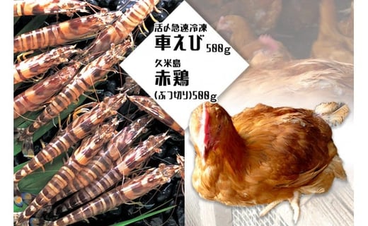 活〆急速冷凍車えび500g・久米島赤鶏(ぶつ切り)500gセット沖縄県久米島町26000肉鶏肉