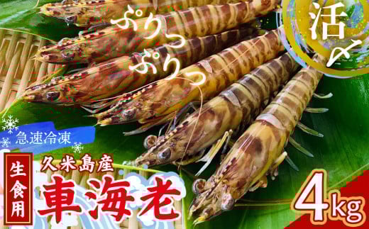【久米島漁協】活〆冷凍車海老 生食用4kg 海の幸 海鮮 車えび クルマエビ 車海老 高級食材 生食 刺身 鮮度抜群 プリプリ 甘み 旨味 塩焼き 天ぷら 素揚げ フライ パスタ ピザ BBQ シーフード