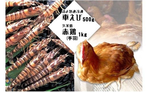 活〆急速冷凍車えび500g・久米島赤鶏(手羽)1kgセット沖縄県久米島町26000肉鶏肉