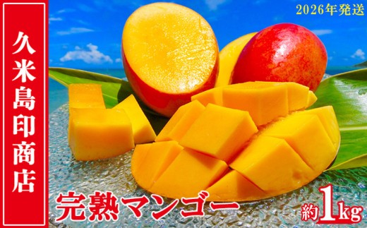 【2026年発送】久米島印商店 完熟マンゴー 約1kg マンゴー フルーツ 果物 デザート 完熟 甘い 濃厚 スムージー アイス プリン ヨーグルト ケーキ 贈り物 贈答 ギフト 人気 リピーター 南国 沖