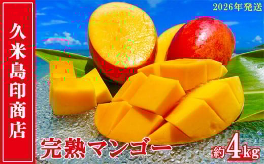 y2026Nzvē󏤓X n}S[ 4kg }S[ t[c ʕ fU[g n Â Z X[W[ ACX v [Og P[L 蕨  Mtg lC s[^[ 썑 