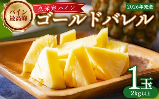【2026年発送】比屋定農園「久米定パイン」ゴールドバレル 1玉(2kg以上×1玉) パイナップル パイン 高級 最高峰 黄金色 大玉 糖度 濃厚 甘い 希少 樽型 フルーツ 果物 ジュース スムージー