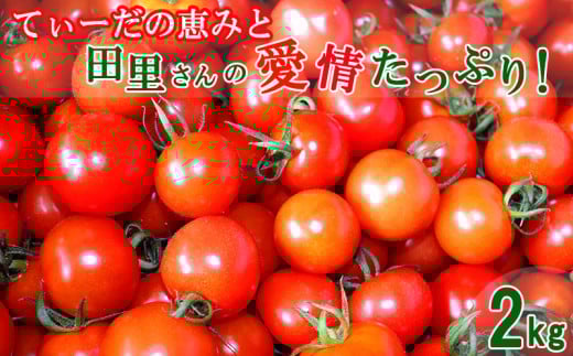 y2025N12ȍ~zĂ[̌b݂Ɠc̈ՂI~jg}g 2kg ~jg}g g}g  Â Z t[c fU[g tbV T_ X[v sU pX^ \[X